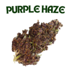 purple haze