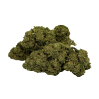 ZOUTI KUSH